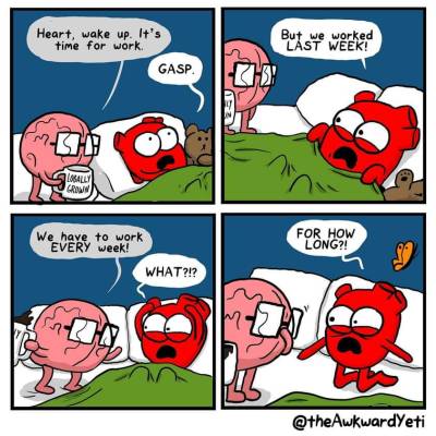 The Awkward Yeti