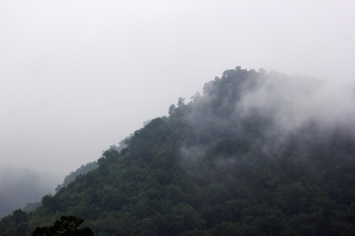 Foggy Mountain by Michael Wallace