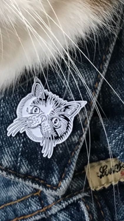 Mike Giant cat pin avail at www.trilldad.com get it get it get it this is my cat and I am broke