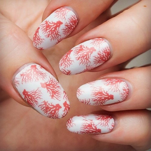 appliq:
“ Coralicious! Available at http://appliq.me/wraps/shop #nailart #nailswag #nailwraps #nailstagram #appliq #manimonday
”