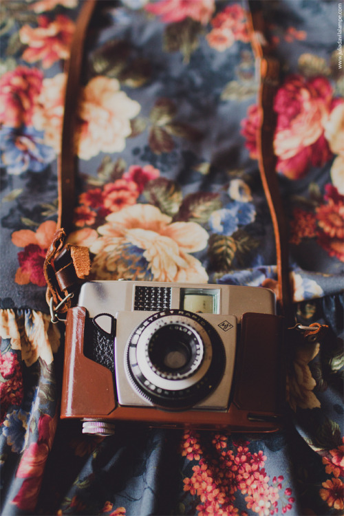 wolftramp:  Vintage Blog ☼ 