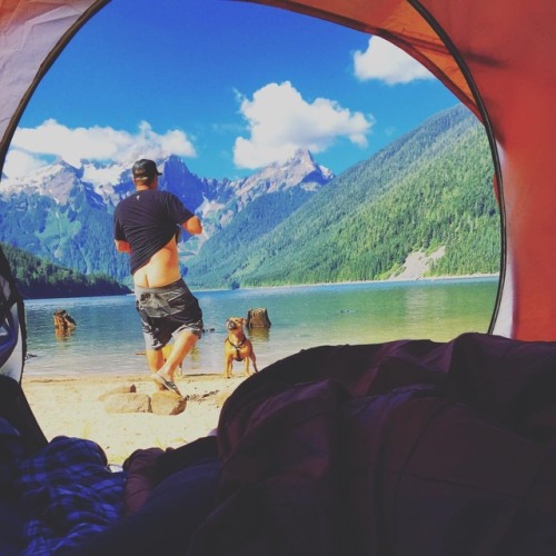 CAMPING | BUTT Great #cheeky moment of this #butt enjoying a little camping with his #dog! Thanks, @