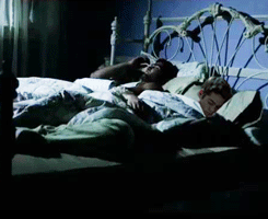 hoechlinth:  Sterek AU: The sheriff gets more than he bargained for when his new