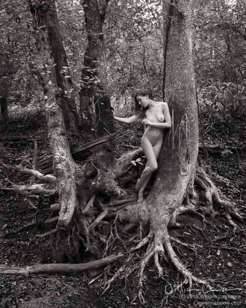 @melancholic-model among the roots.  Copyright 2018, William Lawrence.From a session in 2016, every 