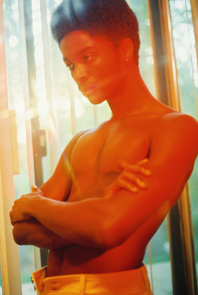 021c:  petra collins