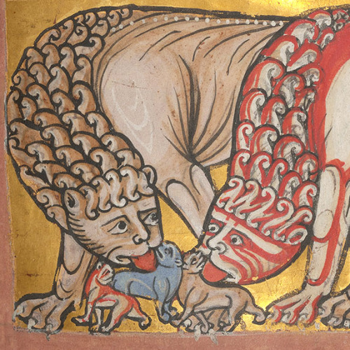 lions licking their cubsWorksop Bestiary, England c. 1185NY, The Morgan Library & Museum, MS M.8
