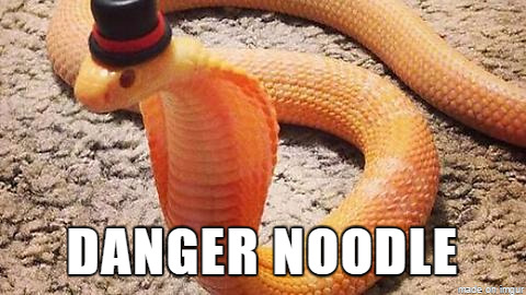 tittymeat:  hentai-ass:  Danger noodle lmao    @femtoxic new scientific names?