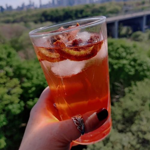 #TonightsIndulgence Rose wine, soda water, blood orange syrup, and homemade candied blood oranges. (