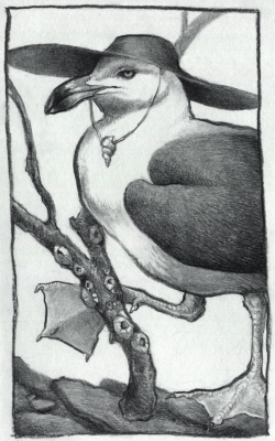 rowkey:For some practice, here’s a gull in graphite (and a hat!!)