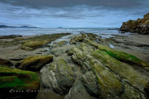 Photo from @louiscarrieri2 - Oregon Coast - Image selected by @ericmuhr - Join us in exploring #Oreg