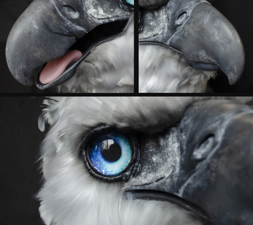 A commissioned Aarakocra, based on a battle scarred harpy eagle! Resin base with moving jaw, and a c