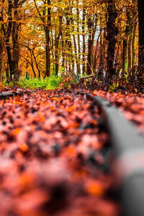 ponderation:  It’s a long way to nowhere. by Ricky Delli Paoli