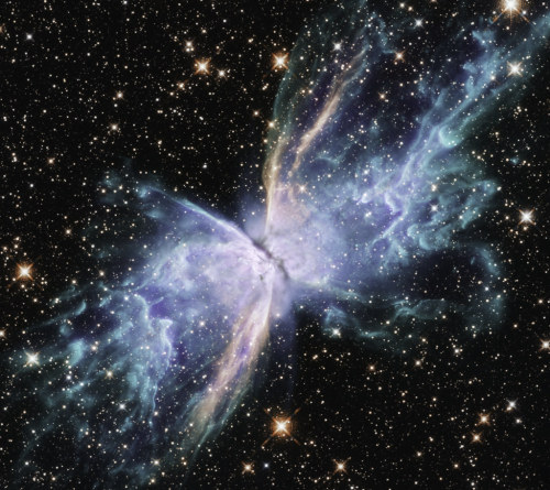 space-pics:Stars gone haywire on NGC 6302 by europeanspaceagency