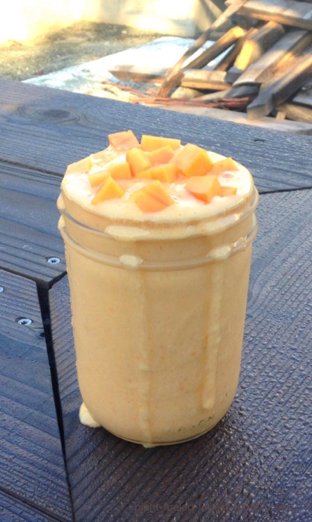 paleo-experiment: Persimmon and Tangerine Smoothie.  Persimmon (frozen), Tangerine Juice (frozen int