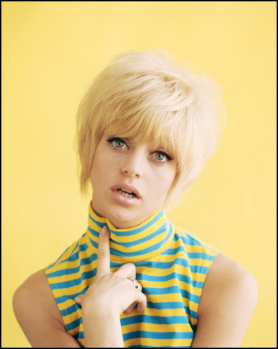 Goldie Hawn Posing For A Portrait 1965 Tumbex