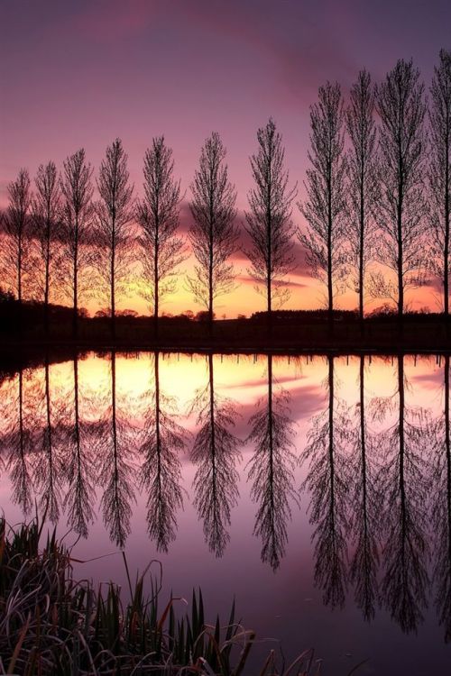 me-lapislazuli:
“England purple sunset landscape, lake, reflection, trees iPhone Wallpaper | 640x960 iPhone 4 (4S) wallpaper download | iWALL365.com
”