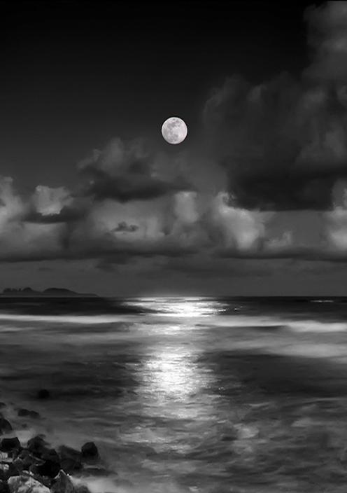 orchidaaorchid:  Black Moon by Carlos Gotay  