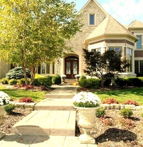 Transitional Landscape - Pathway