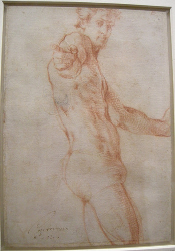 jacopo-pontormo: Self Portrait, 1522, Jacopo Pontormo
