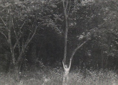 almavio:Hajime Sawatari | Nadia in the forest, 1973