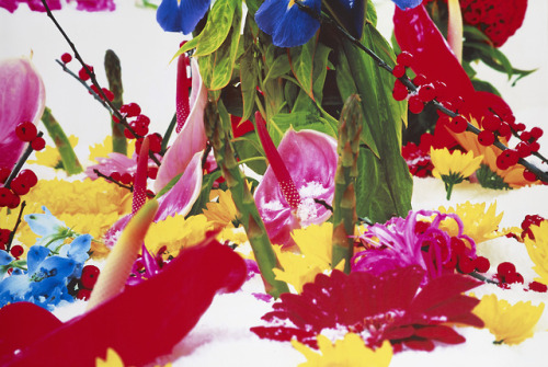 Marc Quinn, Winter Garden, 2004