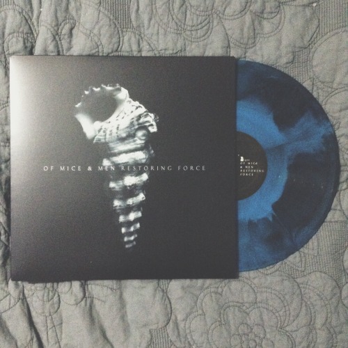 letliveintheend:  band/tattoo blog †