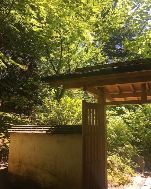 partfawn: portland japanese garden