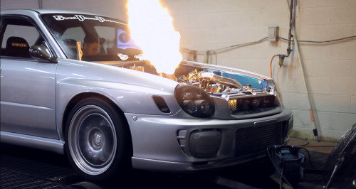 fuckyeahhellaflush:    