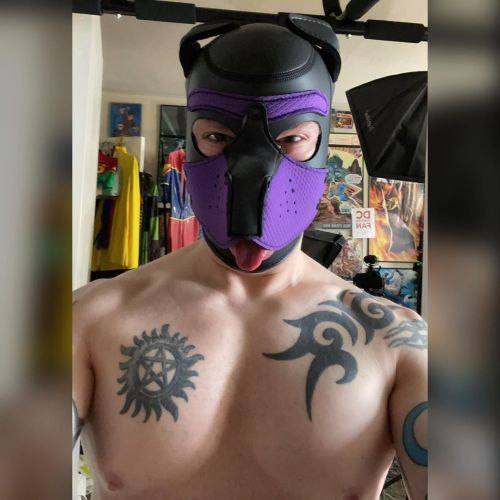 gaycomicgeek: New hood, thank you Bill! Need to gear up this weekend. I got a new tail plug I have t