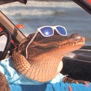 ficion:  sailorcroc:  botabu:  refreshing and loosing 2 followers   refreshing and