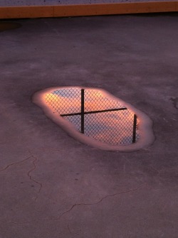 aaronwynia:  Sunset Puddle. Toronto, 2014. 