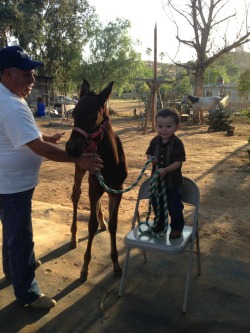 yvette729:  Mi tio y mi hermanito con su