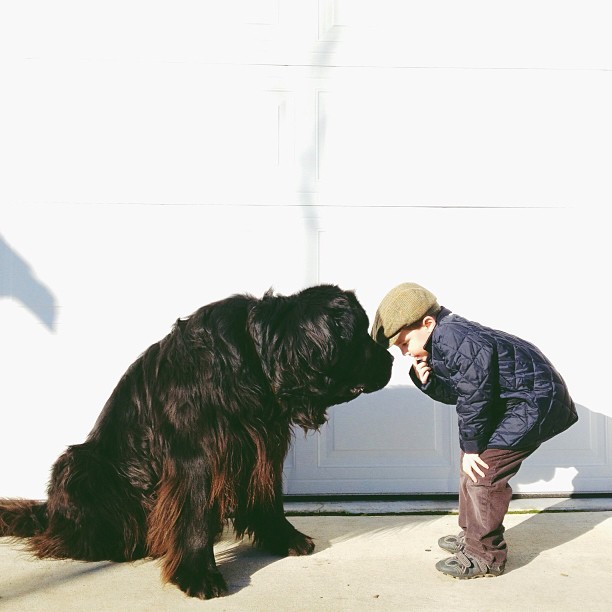 ryandonato:  Genuine Love Between a Little Boy and His Big Dog 