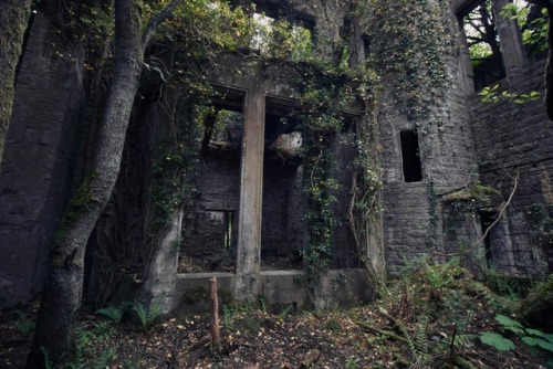 Buchanan Castleabandoned mansion in Scotland, built in 1855 and abandoned in 1954.(more photos here)