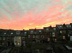 dogwithhat:  the sky turned tie-dye in sheffield