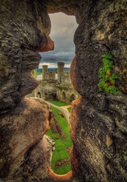bonitavista:    Conwy Castle, Wales  photo via sandra