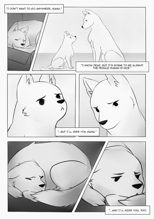 starmageasuka:  A Dog’s Days - Part 1//Part 2People are probably wondering why I haven’t been posting lately. Apart from thesis and strategic marketing class, this is why. This is the comic I’ve been working on for my comics class.This comic is
