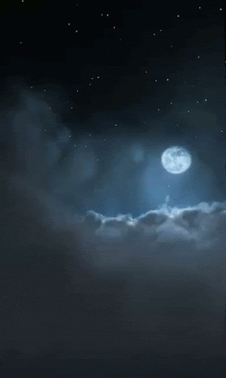 tumblr_n5rc2wIsmn1tq2qiuo1_400.gifv