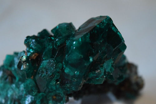 bogglocity:Dioptase from Tsumeb, Namibia. I’ve had this one for a while, but it’s frustratingly diff