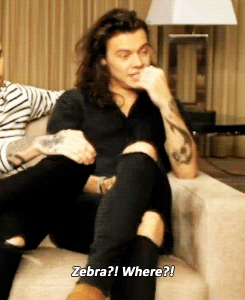 almightysharry:  Loose Women  