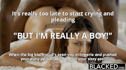 Black Beasts and Boi Bitches