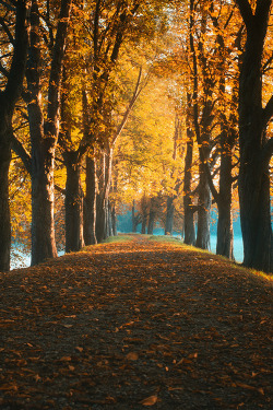 plasmatics-life:  Autumn ~ By Waldemar Wienchol 