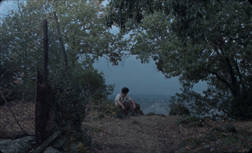 freakin-deakin:Happy as Lazzaro (2018)Dir. Alice RohrwacherCinematography: Hélène Louvart