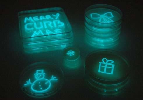 parttimebiologistfulltimeninja:  Happy Christmas, scientists! Sources 1 2 3 4 5 6 7 8 9  Merry Chris