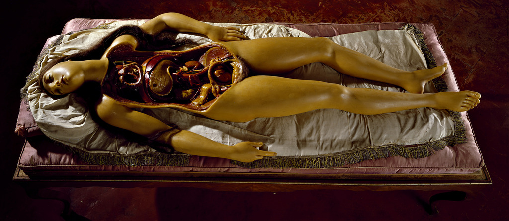 wunderkammerx:  Susini Clemente Venere de’ Medici, c. 1782 Modello in cera, Museo