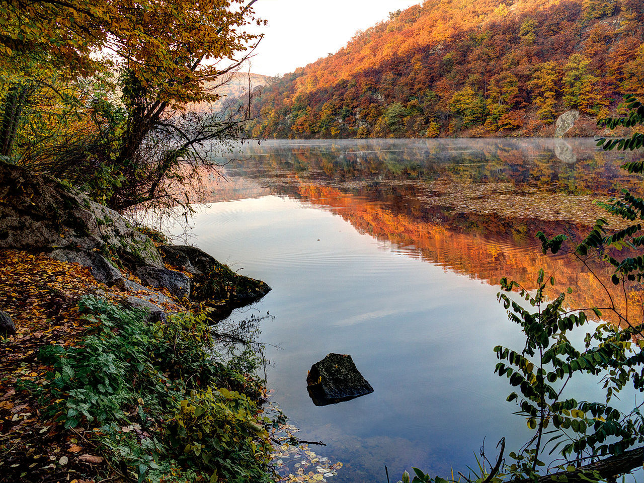 allthingseurope:   Podyji National Park, Czech Republic (by Joadl) 