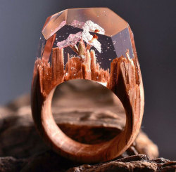 nudiemuse:  thehotgirlproject:  boredpanda:    New Miniature Worlds Inside Wooden Rings Capture The Beauty Of Different Seasons    Fuck a diamond  Wow yes 