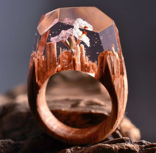 obstinate-nocturna:nudiemuse:thehotgirlproject:boredpanda:New Miniature Worlds Inside Wooden Rings C