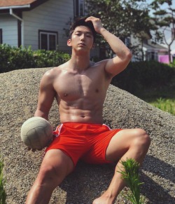 asian-men-x: