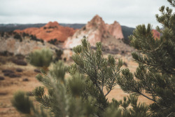 vvnnie:Garden of the Gods // Instagram